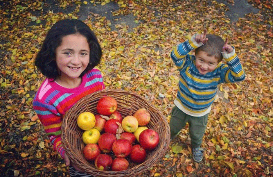 autumn-in-gilgit-baltistan-pakistan