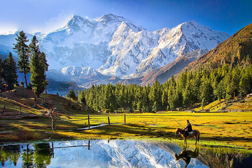 Fairy-Meadows-Nanga_Parbat